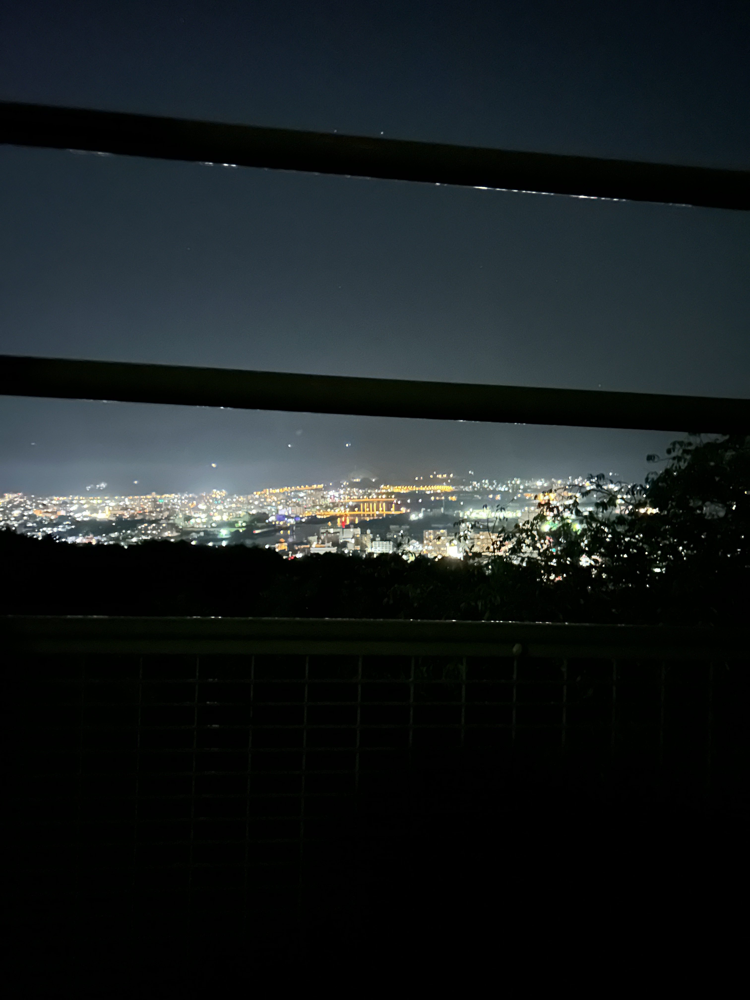 地元学生が見た！　　「夜の五台山」車で行ける、高知の絶景夜景スポット