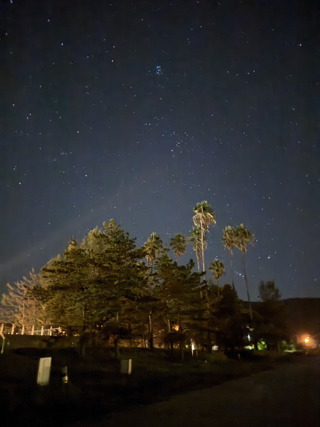 夜のヤ・シィパーク